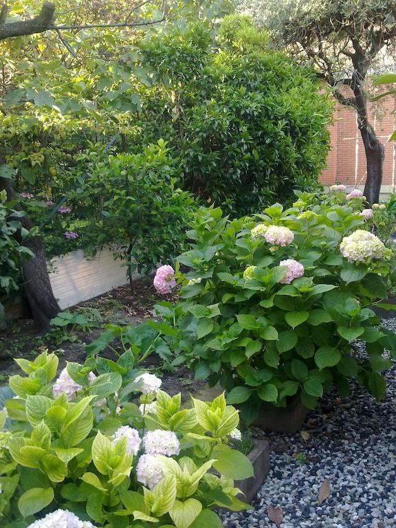 Eco B&B I Due Oleandri Марина ди Карара Екстериор снимка