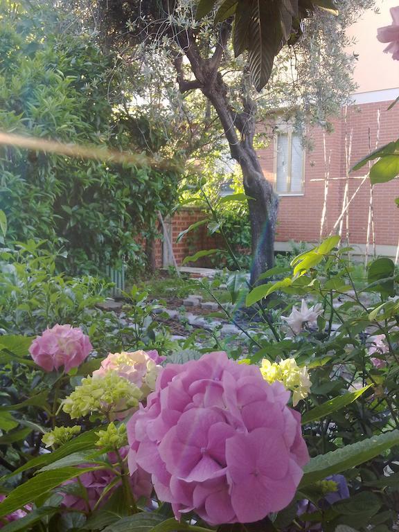Eco B&B I Due Oleandri Марина ди Карара Екстериор снимка