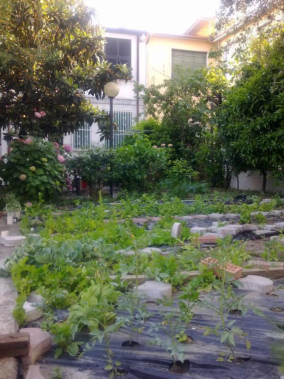 Eco B&B I Due Oleandri Марина ди Карара Екстериор снимка